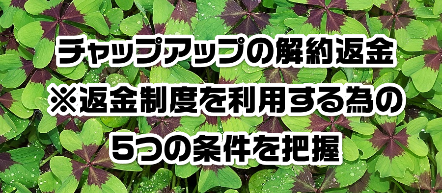 �`���b�v�A�b�v�̉��ԋ��b���ԋ����x�𗘗p����ׂ�5�̏�����c��