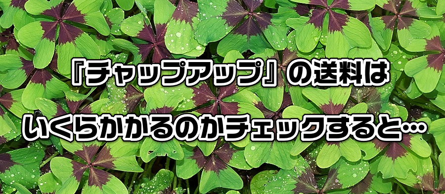 『チャップアップ』の送料はいくらかかるのかチェックすると…