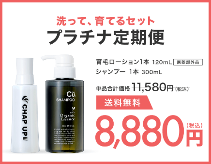 チャップアップ 割引