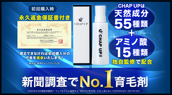 チャップアップ 割引